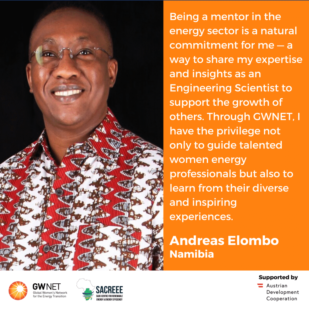 Mentors for first edition of Energising Women to Advance the Energy Transition in the SADC Region