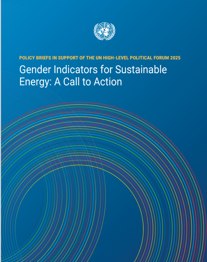 Gender Indicators for Sustainable Energy: A Call to Action